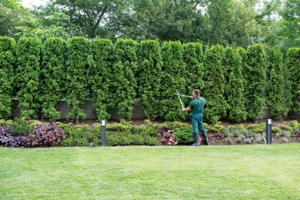 Best Weed Control  in Livermore, CA